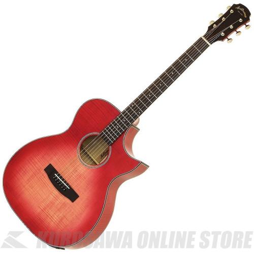 ARIA AF-107CE FMPK [Aria Dreadnought 100 series] エレアコ【ONLINE STORE】