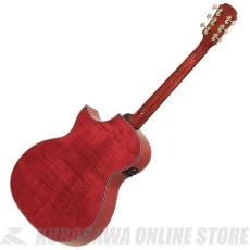 ARIA AF-107CE FMPK [Aria Dreadnought 100 series] エレアコ【ONLINE STORE】_2
