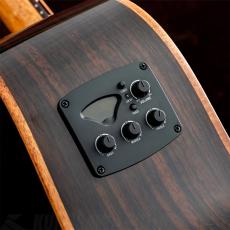 Stafford SFM-2 [MODERN SERIES]《エレアコ》【高性能ケーブルプレゼント!】【ONLINE STORE】_6