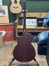 Eastman PCH1-GACE #M2611123【店頭未展示品】【実物写真】【即納可能!】【高性能ケーブルプレゼント!】【ONLINE STORE】_5