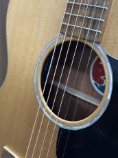 Eastman PCH1-GACE #M2611123【店頭未展示品】【実物写真】【即納可能!】【高性能ケーブルプレゼント!】【ONLINE STORE】_6