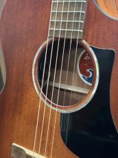 Eastman PCH1-GACE-CLA #M2611439【店頭未展示品】【実物写真】【即納可能!】【高性能ケーブルプレゼント!】【ONLINE STORE】_6