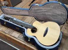 aNueNue aNN-L200E #AM01509 【実物写真】【店頭未展示品】【試奏動画あり】《高性能ケーブルプレゼント!》【ONLINE STORE】_10
