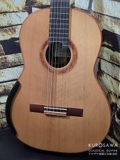 レジス・サラ Regis Sala 2025年製 AUSTRALE (ラティス) 杉・ココボロ 20フレット【クロサワ楽器日本総本店2F 在庫品】