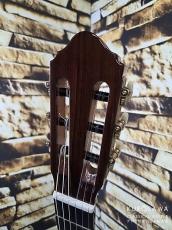 レジス・サラ Regis Sala 2025年製 AUSTRALE (ラティス) 杉・ココボロ 20フレット【クロサワ楽器日本総本店2F 在庫品】_5