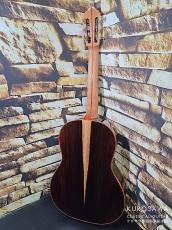 レジス・サラ Regis Sala 2025年製 AUSTRALE (ラティス) 杉・ココボロ 20フレット【クロサワ楽器日本総本店2F 在庫品】_7