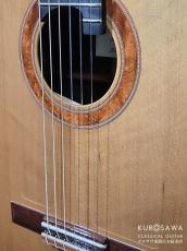 レジス・サラ Regis Sala 2025年製 AUSTRALE (ラティス) 杉・ココボロ 20フレット【クロサワ楽器日本総本店2F 在庫品】_11