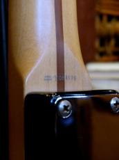 Fender Japan 2007-10 TL-STD_11