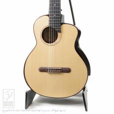 aNueNue aNN-MN214E (Nylon Strings)