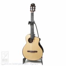 aNueNue aNN-MN214E (Nylon Strings)_2