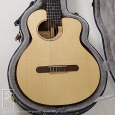 aNueNue aNN-MN214E (Nylon Strings)_9