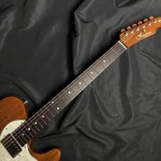 FREEDOM CUSTOM GUITAR RESEARCH C.S BLACK PEPPER_3