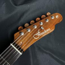 FREEDOM CUSTOM GUITAR RESEARCH C.S BLACK PEPPER_4