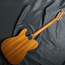 FREEDOM CUSTOM GUITAR RESEARCH C.S BLACK PEPPER_6