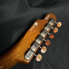 FREEDOM CUSTOM GUITAR RESEARCH C.S BLACK PEPPER_7