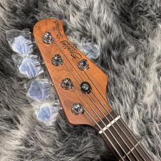 Sterling by MUSIC MAN RAY35SM-R2_3