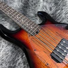 Sterling by MUSIC MAN RAY35SM-R2_5