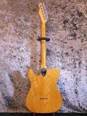 Fender Telecaster Thinline '75_2