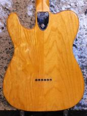 Fender Telecaster Thinline '75_4