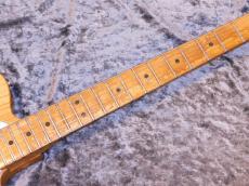 Fender Telecaster Thinline '75_9