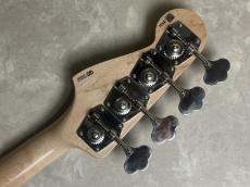 FREEDOM CUSTOM GUITAR RESEARCH R.S.JB_10