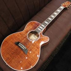 Takamine TSP178ACK N #63040110【福岡店】_2