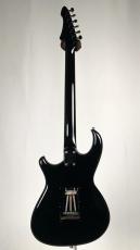 Aria Pro II RS HELLCAT -Black- 【USED】_5