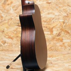 Taylor 314ce-RW LTD 2015_5