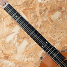 Taylor 314ce-RW LTD 2015_6