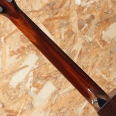 Taylor 314ce-RW LTD 2015_7