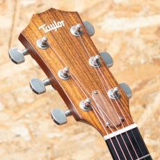 Taylor 314ce-RW LTD 2015_8