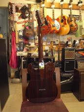 FREEDOM CUSTOM GUITAR RESEARCH BROWN PEPPER (2015)_3
