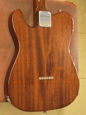 FREEDOM CUSTOM GUITAR RESEARCH BROWN PEPPER (2015)_4