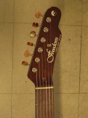 FREEDOM CUSTOM GUITAR RESEARCH BROWN PEPPER (2015)_5