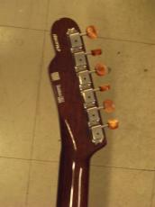 FREEDOM CUSTOM GUITAR RESEARCH BROWN PEPPER (2015)_6