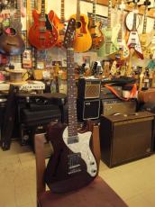 FREEDOM CUSTOM GUITAR RESEARCH BROWN PEPPER (2015)_8