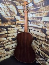 SERGIO PEREZ セルヒオ・ペレス  2023年製 Modelo : Segovia 松・マダガスカルローズウッド【日本総本店2F 在庫品】_7