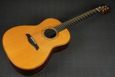 Sergei de Jonge Standard_10