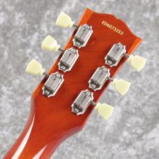 Edwards  E-LP-STD ~Vintage Honey Sunburst~ #ED6073253 [4.00kg]_5