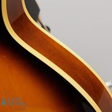 Orville by Gibson ES-335 Dot_10