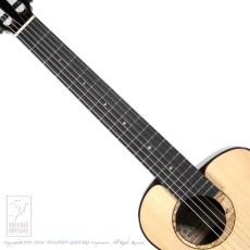 aNueNue aNN-MN214 (Nylon Strings)【48回無金利対象品】_5