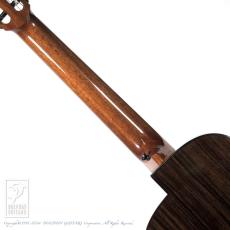 aNueNue aNN-MN214 (Nylon Strings)【48回無金利対象品】_6