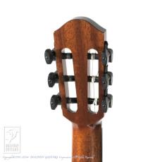aNueNue aNN-MN214 (Nylon Strings)【48回無金利対象品】_8