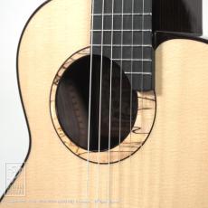 aNueNue aNN-MN214 (Nylon Strings)【48回無金利対象品】_12