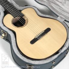 aNueNue aNN-MN214 (Nylon Strings)【48回無金利対象品】_13