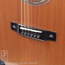 Fonzo Guitar V33C SJ FC_10