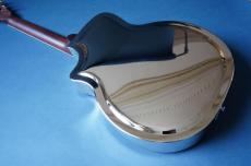 Delta Express Tricone Cutaway Nickel_4