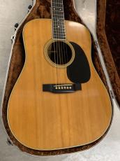 Martin D-35 1979年製_2