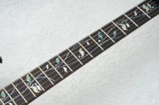 Ibanez 【動画有り】j.custom  RG8620AH -Ghost Fleet Blue Burst / GFB- #F2600470【10本限定モデル】_8