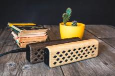 Flight Tiny6 Portable Mini Amplifier
